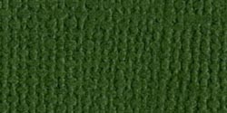 Bazzill Mono Cardstock 12'X12'-Ivy/Canvas - Case Pack of 25