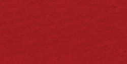 Bazzill Fourz Cardstock 12'X12'-Red/Grass Cloth - Case Pack of 25